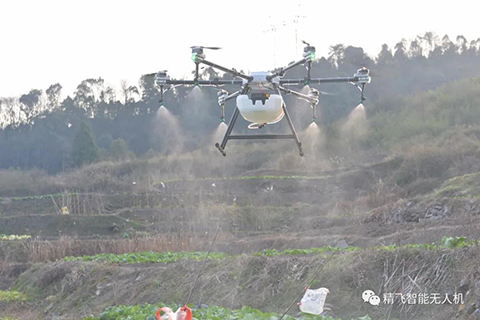 Precautions for pesticide spraying with crop protection drones